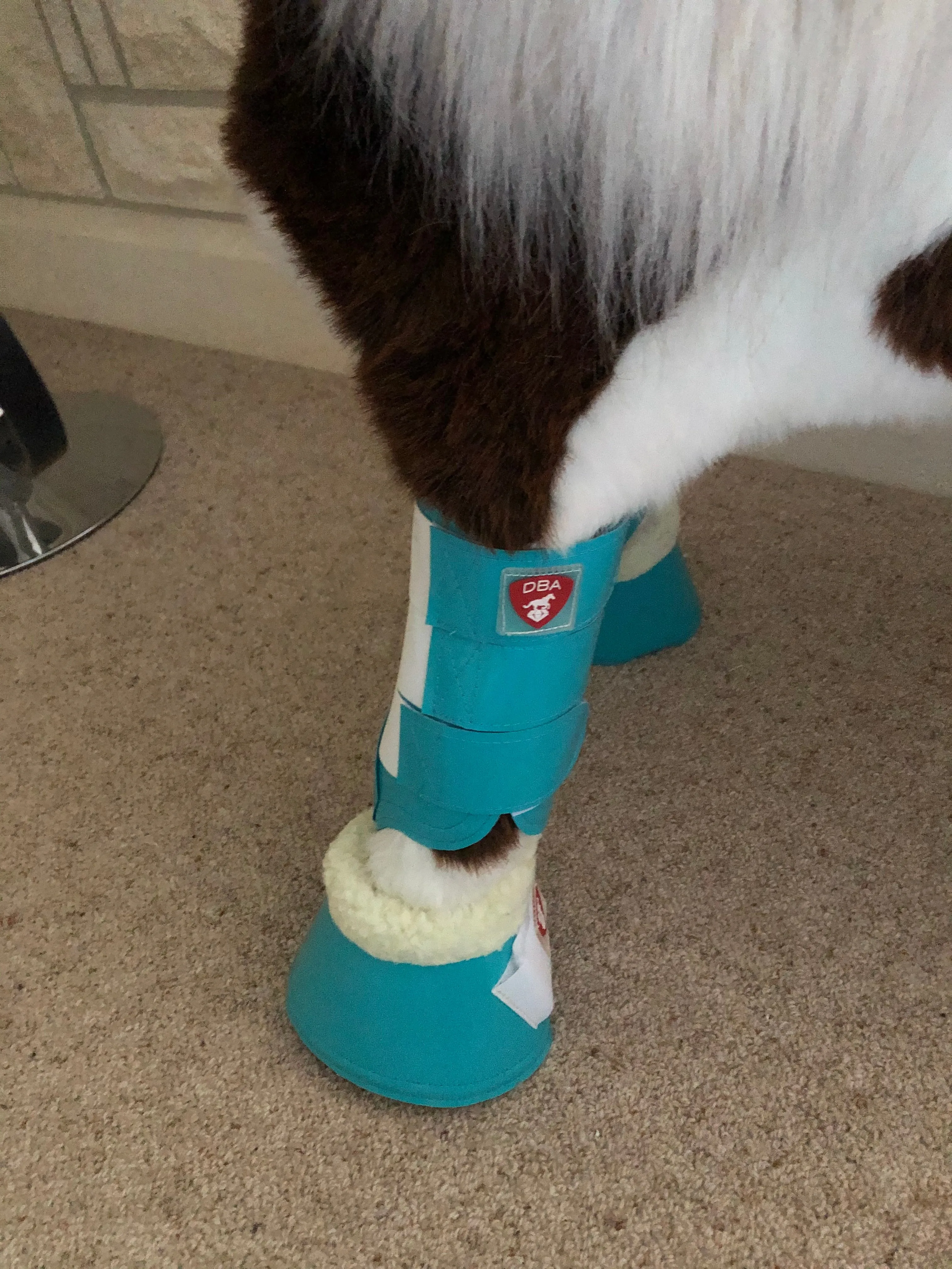 Bell Boots