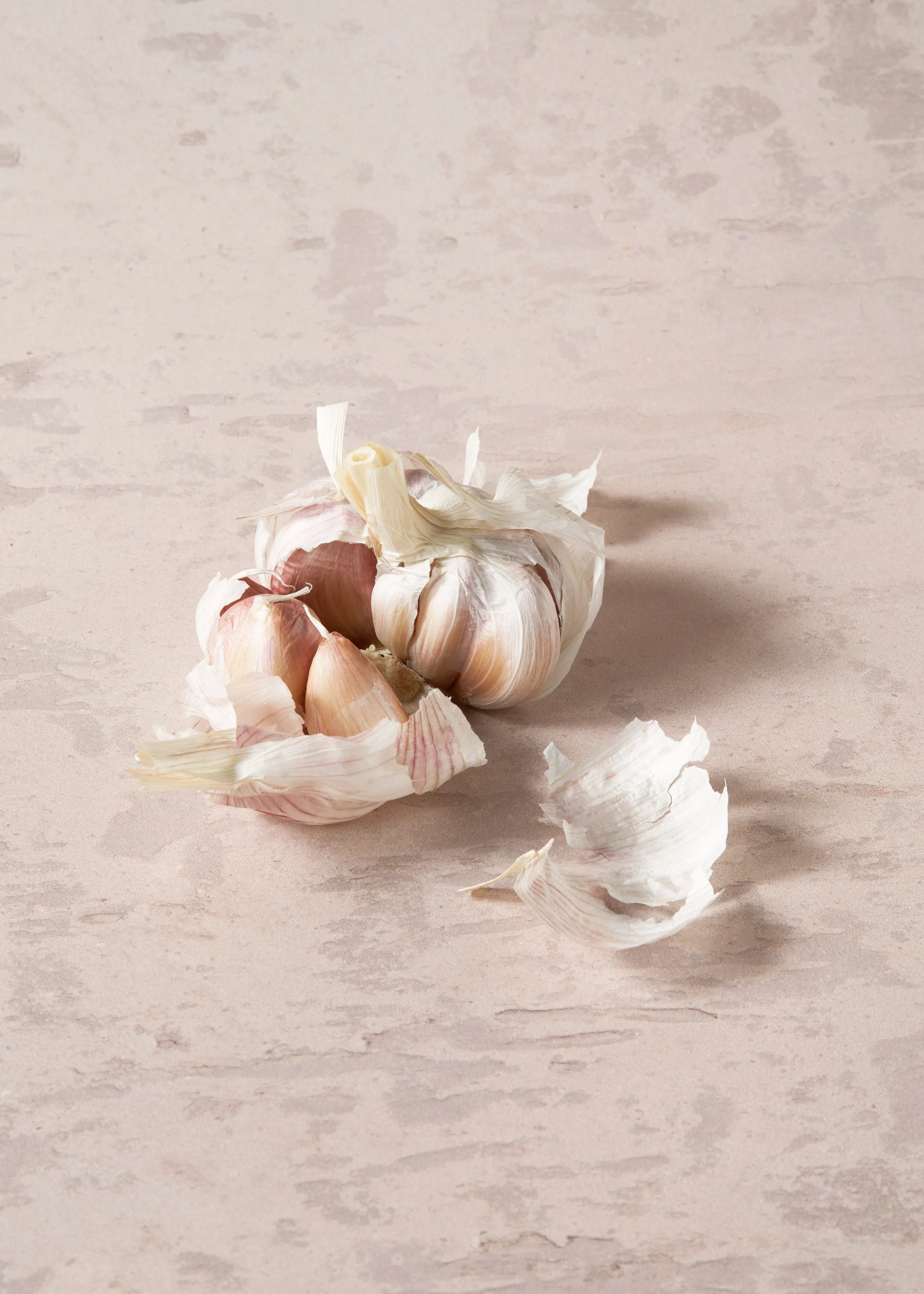 Coarse Plaster