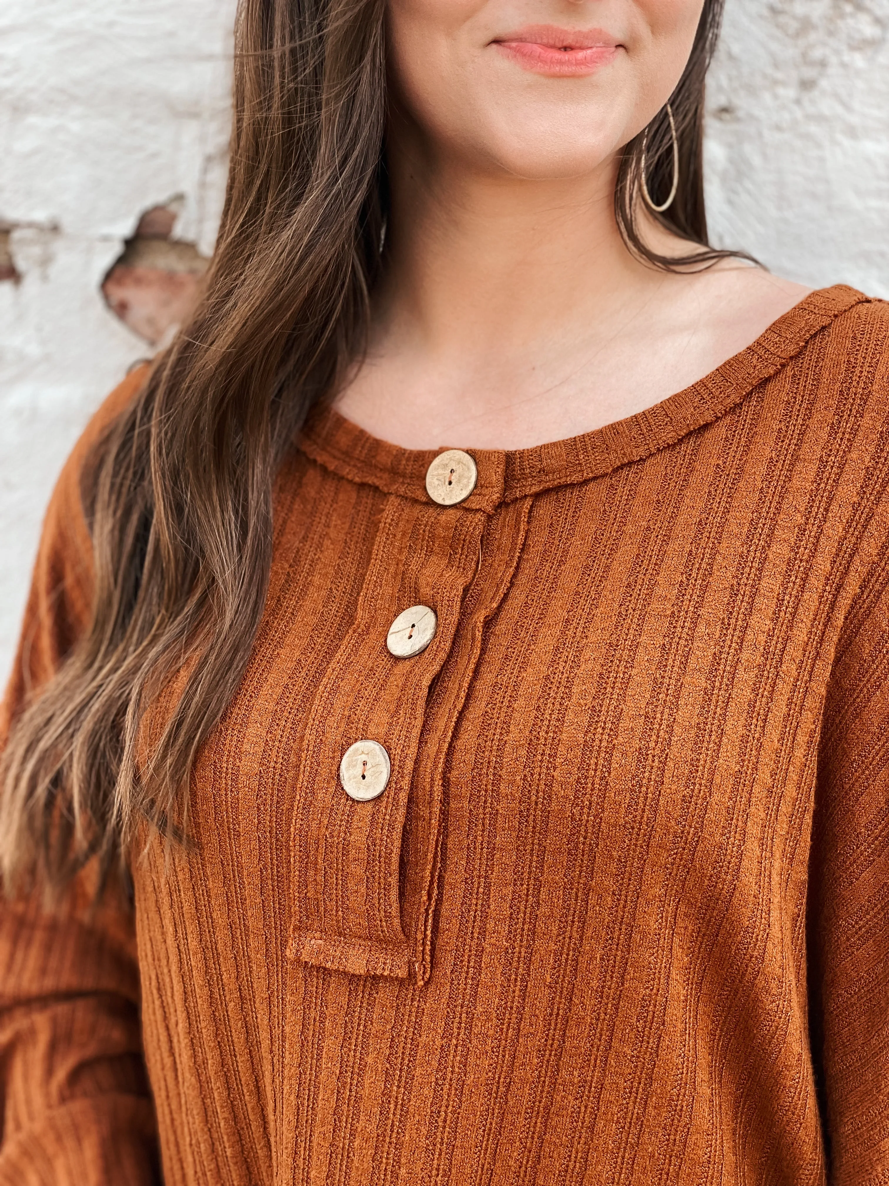 Lexi Brown Long Sleeve Top
