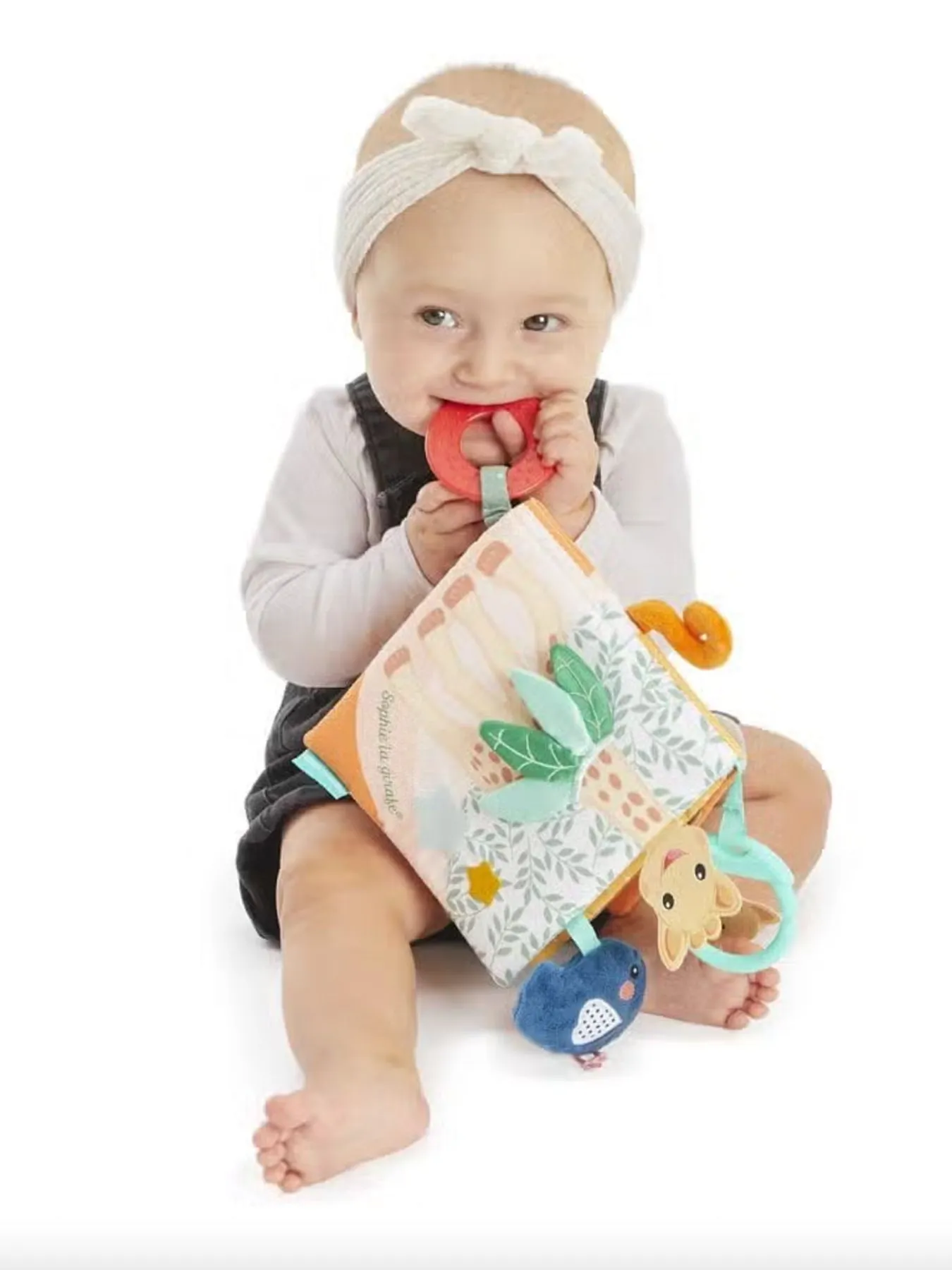 Sophie the Giraffe Discovery Book