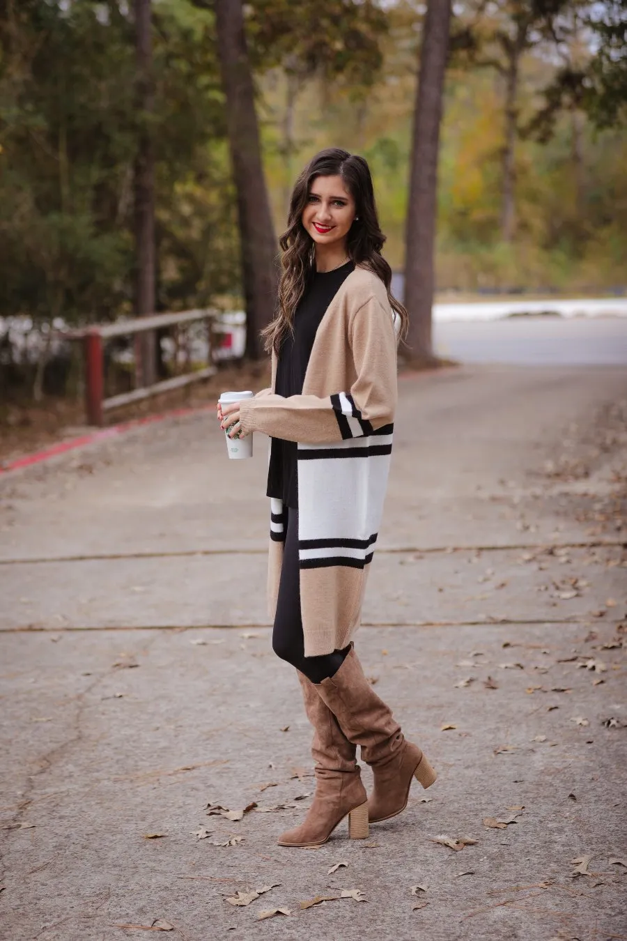 Take Flight Color Block Cardigan